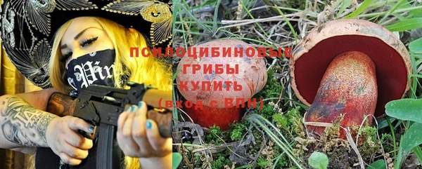 дмт Михайловск