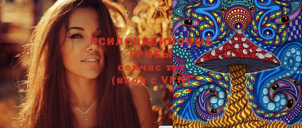 крисы Мегион