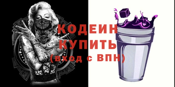 крисы Мегион