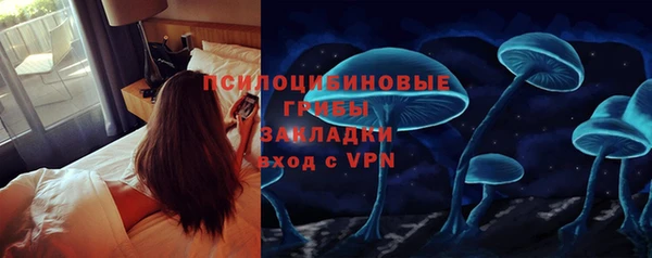 прущая мука Михайлов
