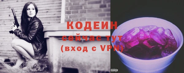 крисы Мегион