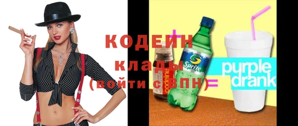 крисы Мегион