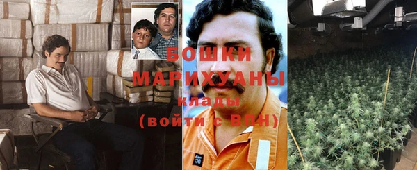 крисы Мегион