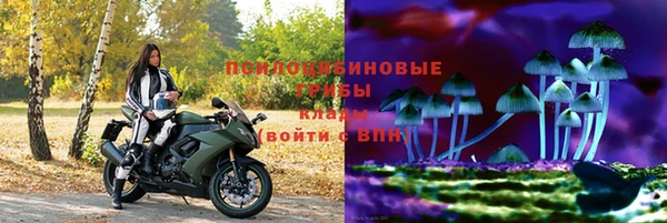 ГАЛЛЮЦИНОГЕННЫЕ ГРИБЫ Михайловка