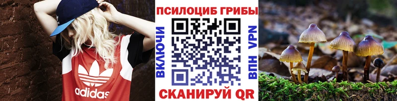 Купить закладки  Красный Холм  Галлюциногенные грибы прущие грибы 